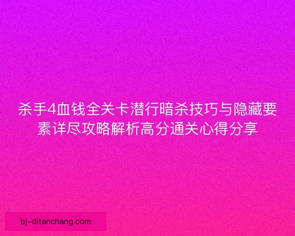 杀手4血钱全关卡潜行暗杀技巧与隐藏要素详尽攻略解析高分通关心得分享